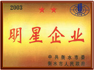 榮譽(yù)資質(zhì)2