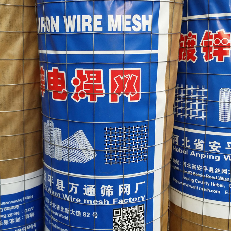 抹墙电焊网热镀锌电焊网实体工厂供应